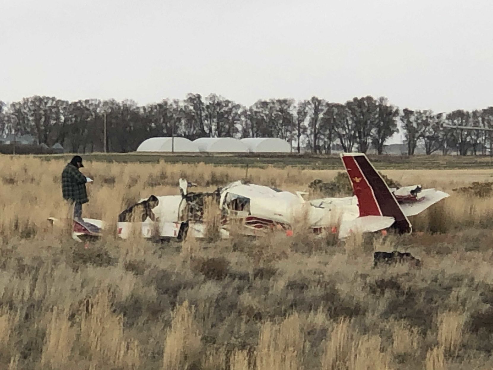 MYSTERY DEEPENS REGARDING PLANE CRASH THAT LEFT PILOT DOG DEAD