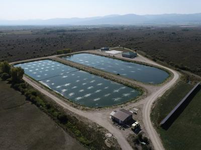 Water treatment plant in Driggs, Idaho