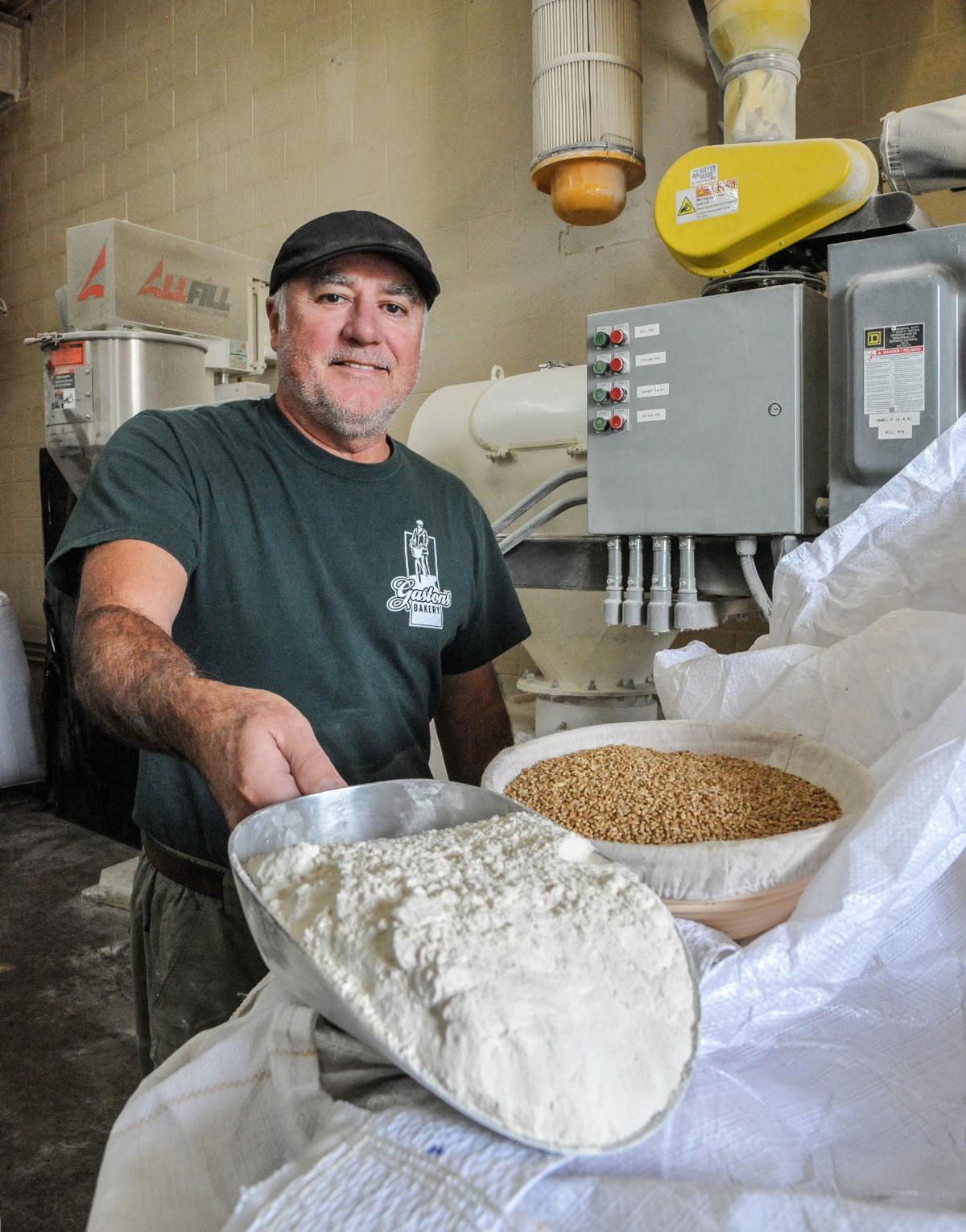 Local Grain Economies: Breeding regional wheat | Local ...
