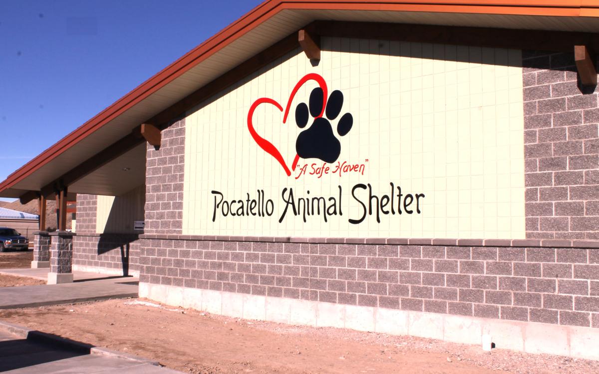 New digs for the dogs and cats Pocatello Animal Shelter moves into new