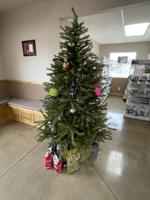 Alpine Animal Hospital collecting donations of pet supplies this month