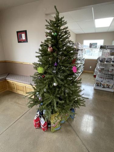 Alpine Animal Hospital Giving Tree