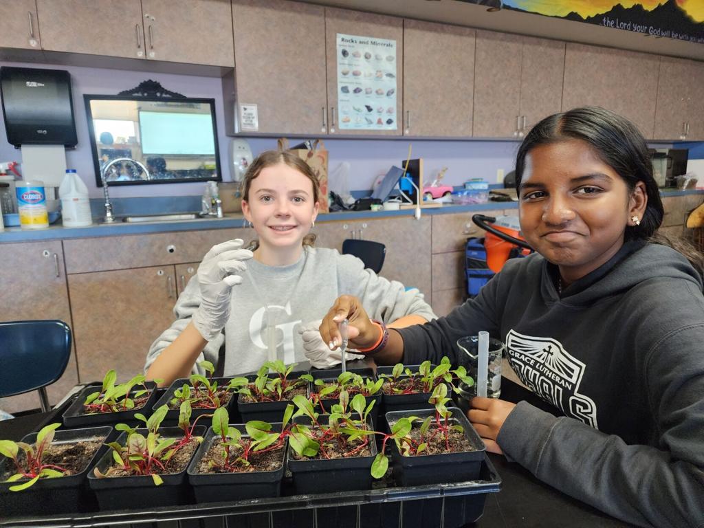 Where to Get Free Bridesmaid Dress Swatches (\u0026 Why You Should), image size:1024x768