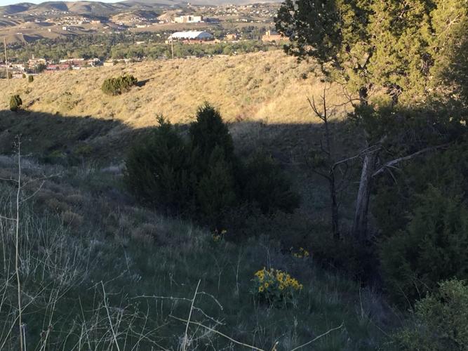 Reports show Pocatello a leader in nondiscrimination, job market