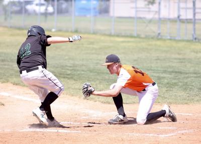 Blackfoot Malad Legion Baseball
