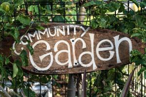 Community garden groundbreaking scheduled for Friday