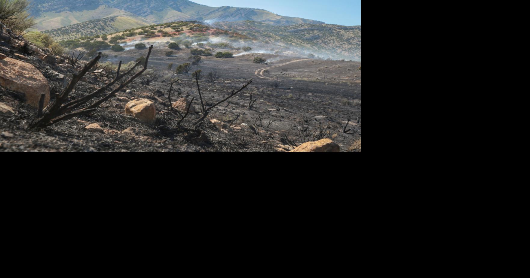 Howe Peak Fire 25% contained | News | idahostatejournal.com