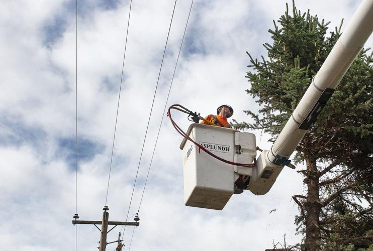 Idaho Power wildfire mitigation
