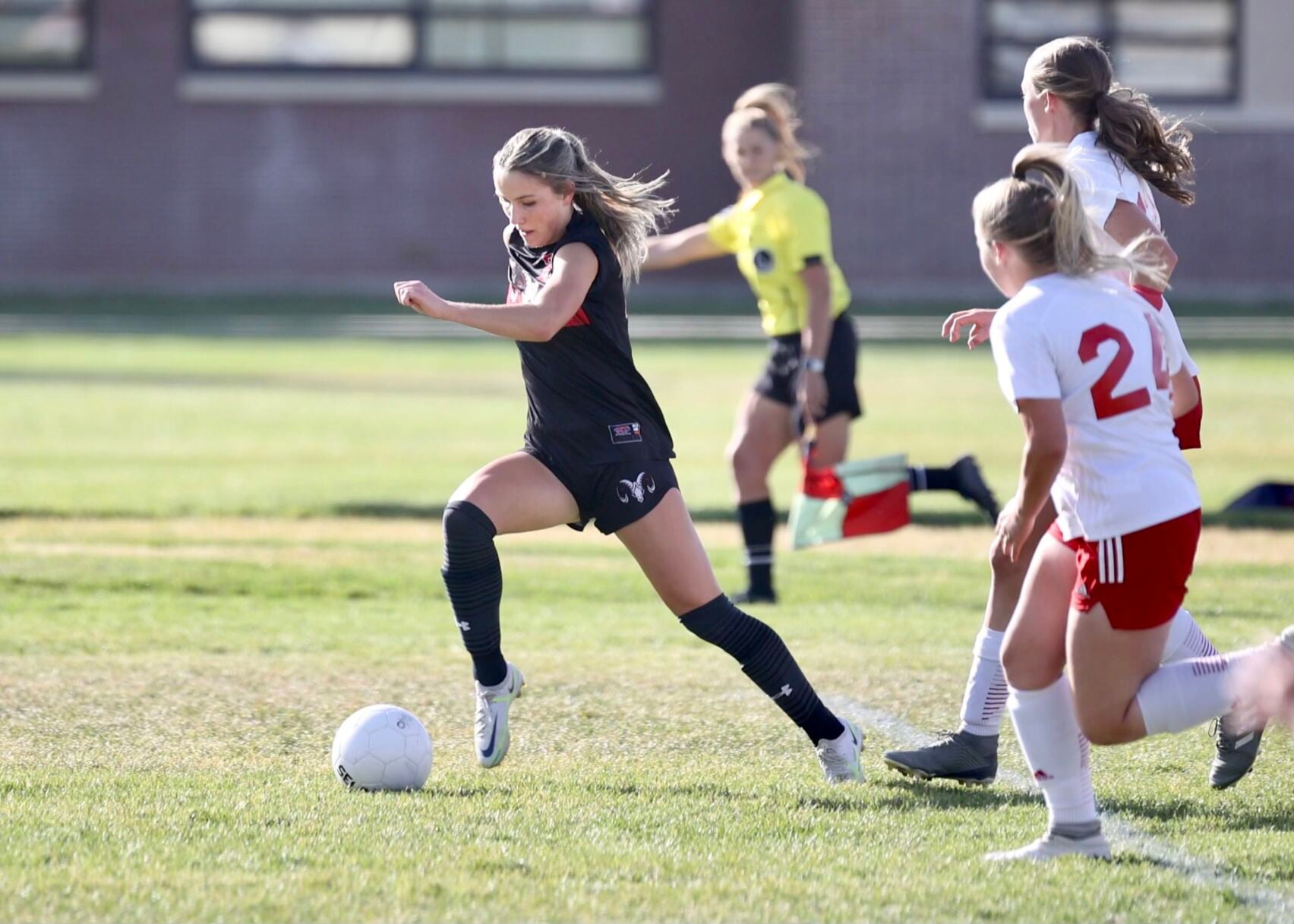 Tambree Bell Highland GSOC