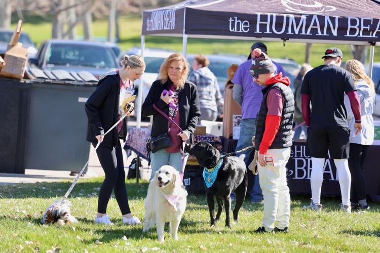 Photos of Run with the Big Dogs at Ross Park in Pocatello | Local ...
