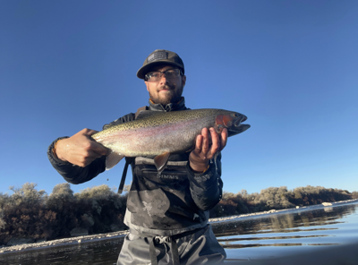 Trout