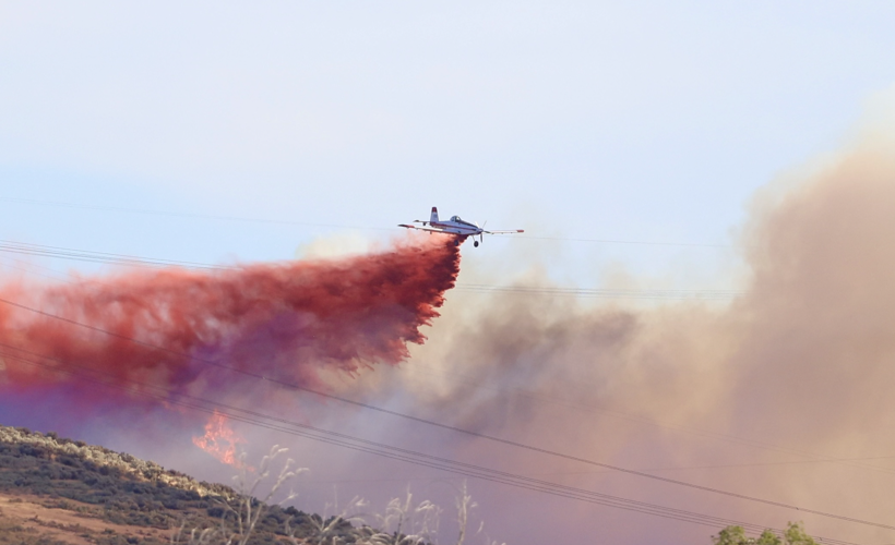 Wildfire