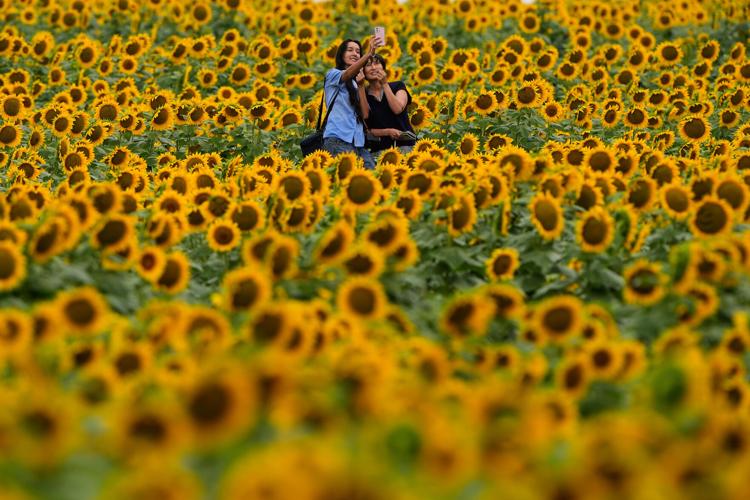 Daily life around the world, in photos