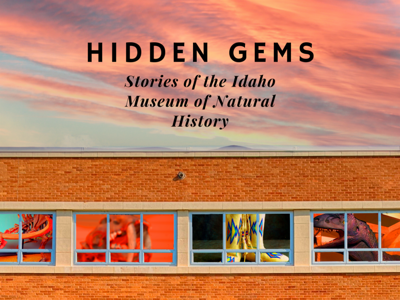 hidden gems book cover