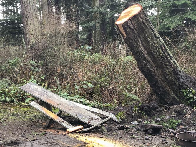 State Park Damage 03