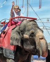 WILDE RIDE: 104-year-old woman scratches elephant ride off bucket list