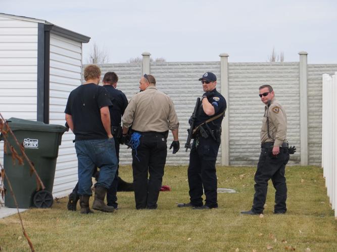 Police kill cow