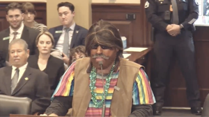 Idaho House committee draws scrutiny for allowing testifier in brownface to continue 'openly racist display'