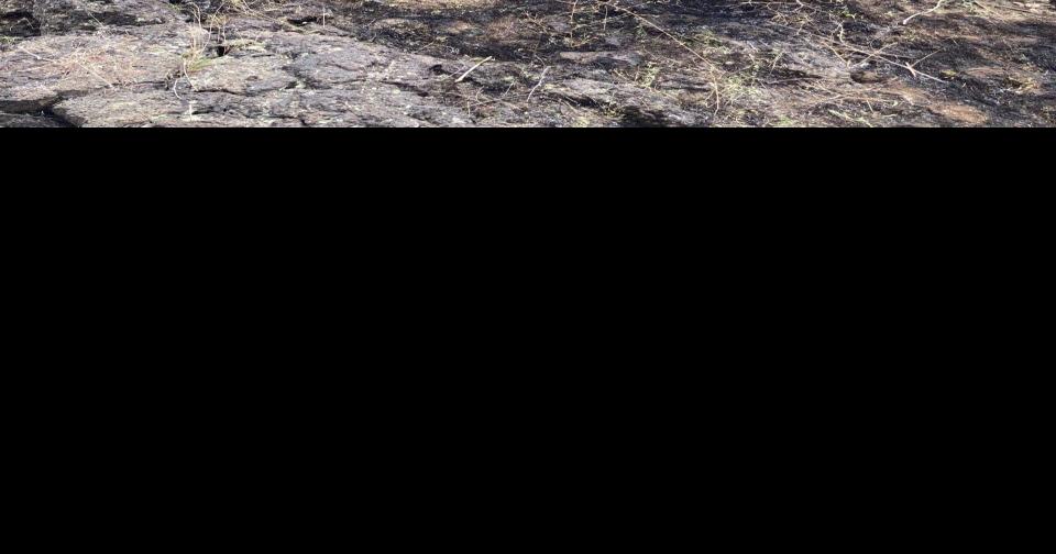 Unattended campfires raising concerns as Idaho enters potentially bad