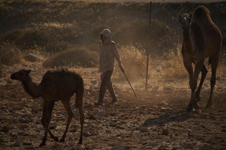 The top photos of the day by AP's photojournalists