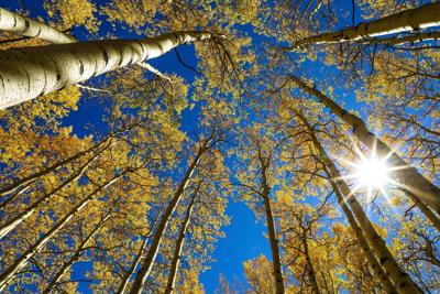 Equinox Solstice Explainer