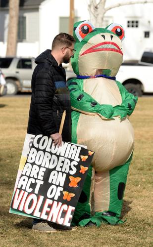 ICE protest 2026 - frog