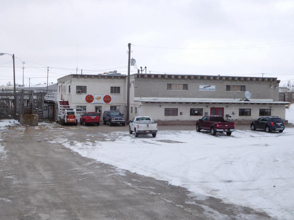 Idaho Falls Livestock Auction Going Going Gone Local