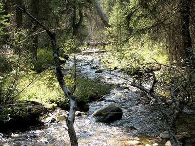 Little Lost River