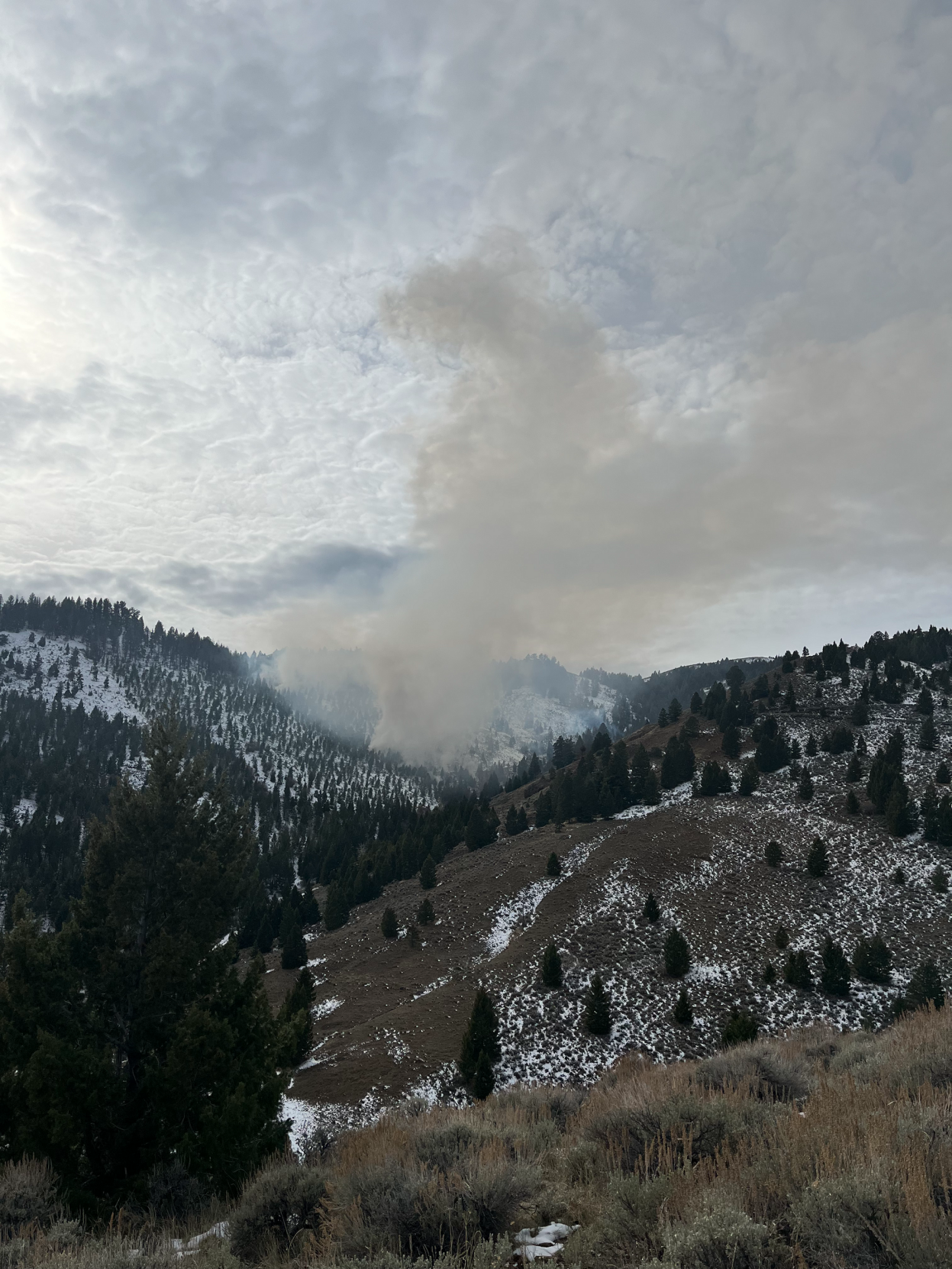 BLM To Conduct Pile Burns Near Malad City To Complete A Wildlife ...