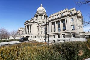 Idaho Senate committee advances bill to expedite safety checks for at-risk infants