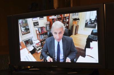 Dr. Anthony Fauci