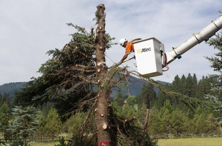 Idaho Power wildfire mitigation