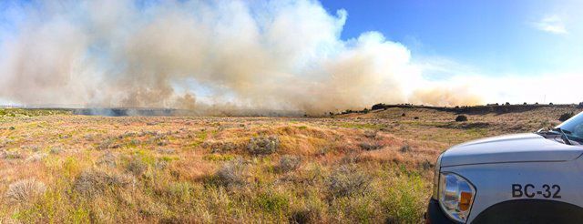 Rim Fire
