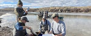 Idaho Fish and Game completes fish survey in the Snake River below American Falls Dam in Southeast Idaho