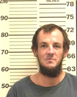 'Check washing' felon to reimburse $8,694.04 to Rexburg, Ririe banks