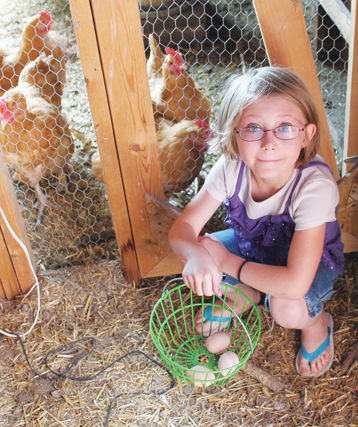 Chickens