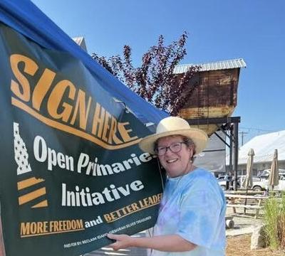 Open-Primary-volunteer