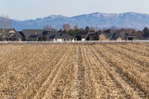 Idahoans support path to residency, reproductive rights in annual survey