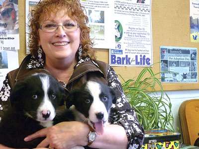 Pocatello artist Linda Wolfe