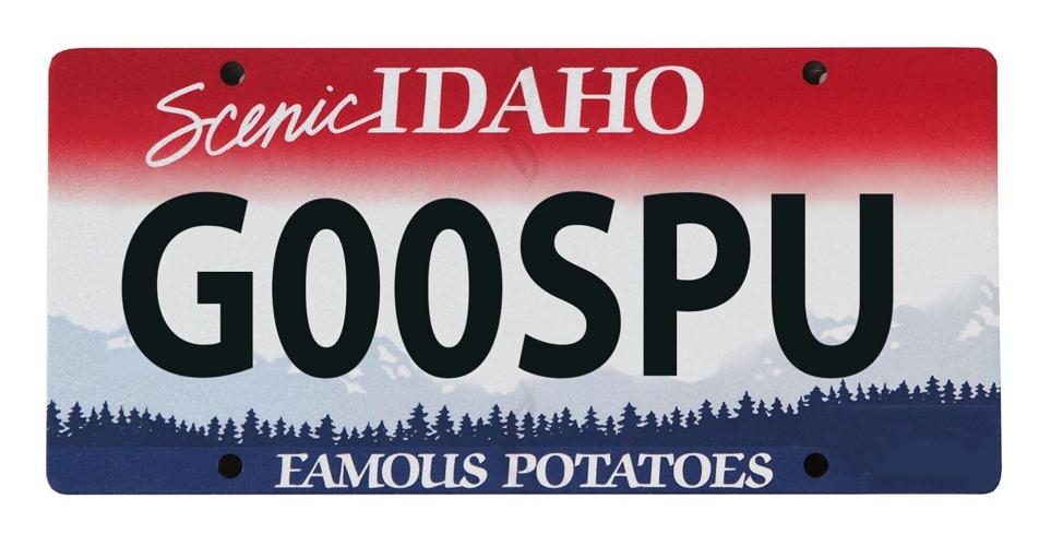 Rejected license plates