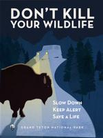 Grand Teton park pleads with motorists to stop running over wildlife