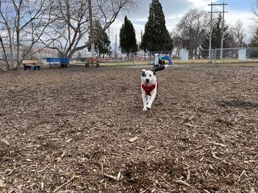 Bannock Dog Park