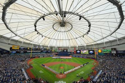 Rays Ballpark Baseball