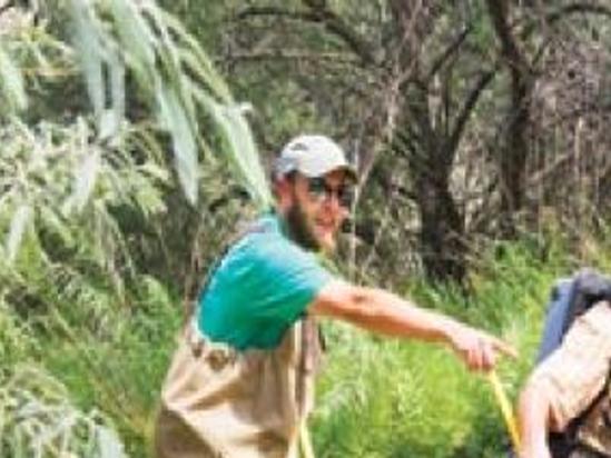 Russian Olive Trees Might Not Be So Innocuous Members