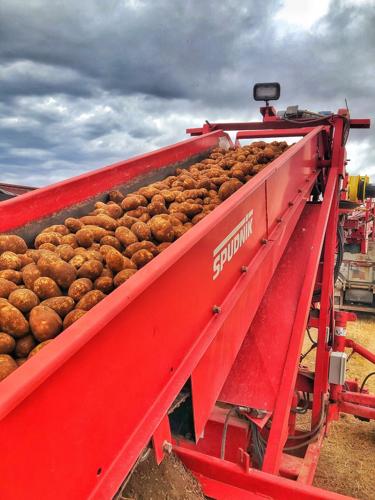 Van Orden Farms 2