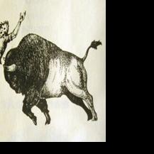Yellowstone to tourists: Beware of bison | Members | idahostatejournal.com