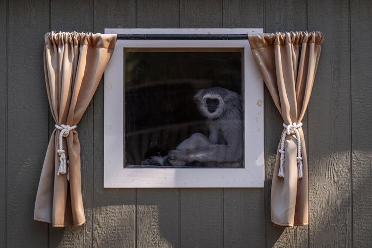 The top photos of the day by AP's photojournalists