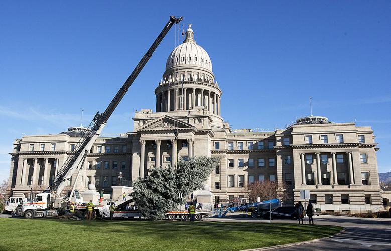 Capitol Christmas Tree