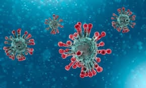 Coronavirus stock