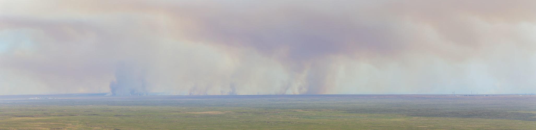 Sheep Fire